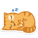 cat38 {cat38} {cat38}